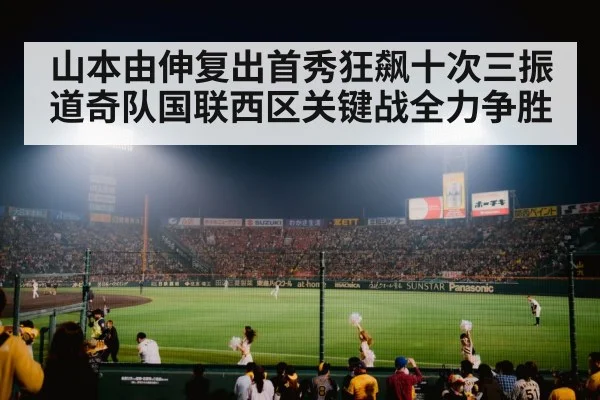 baseball stadium night game